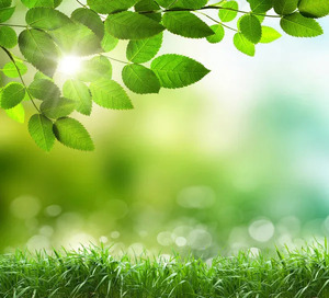 depositphotos-34238775-stock-photo-soft-defocused-spring-background