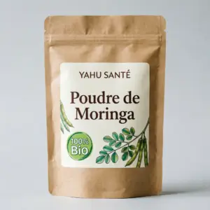 बायो मोरिंगा पाउडर YAHU SANTÉ | Kraft 100g